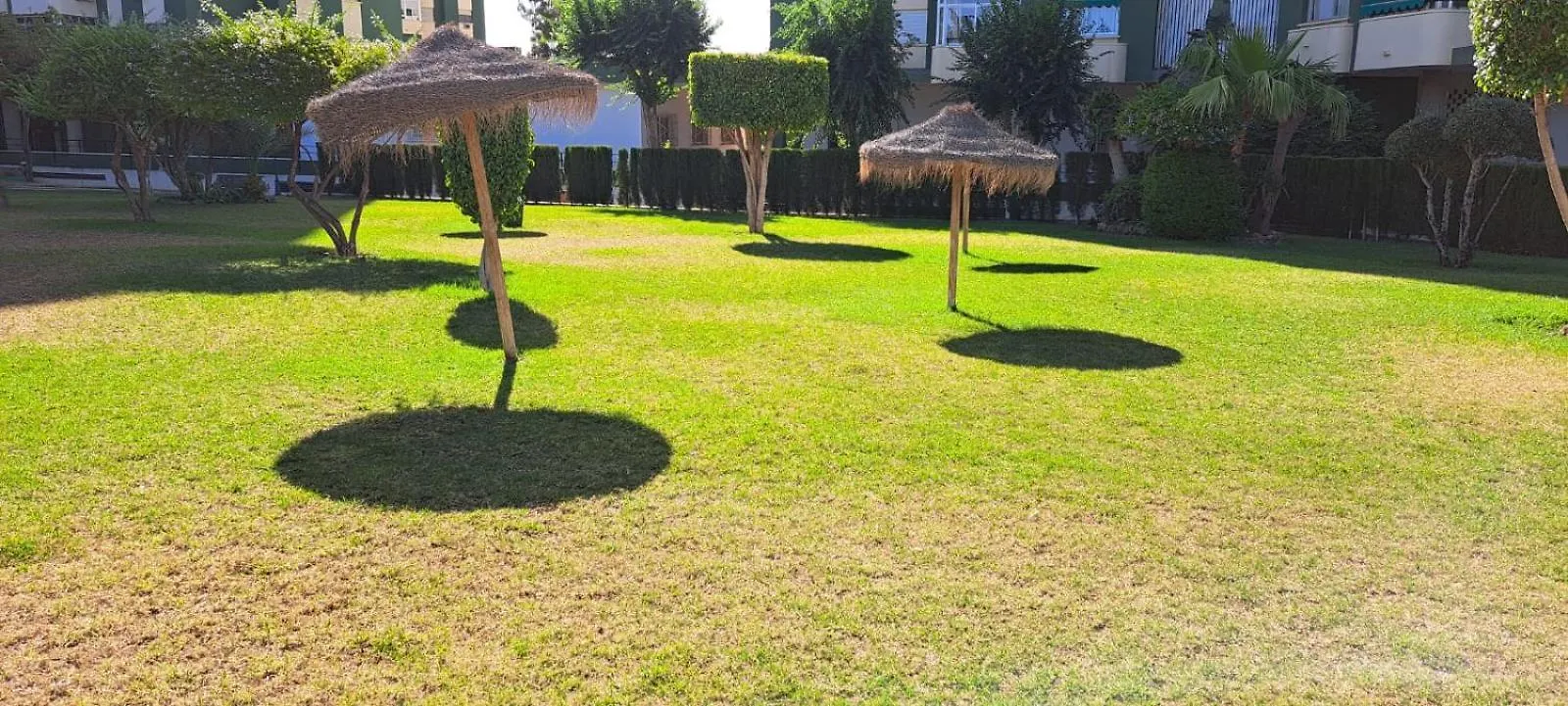 Jenofonte Zj Apartment مالقة إسبانيا
