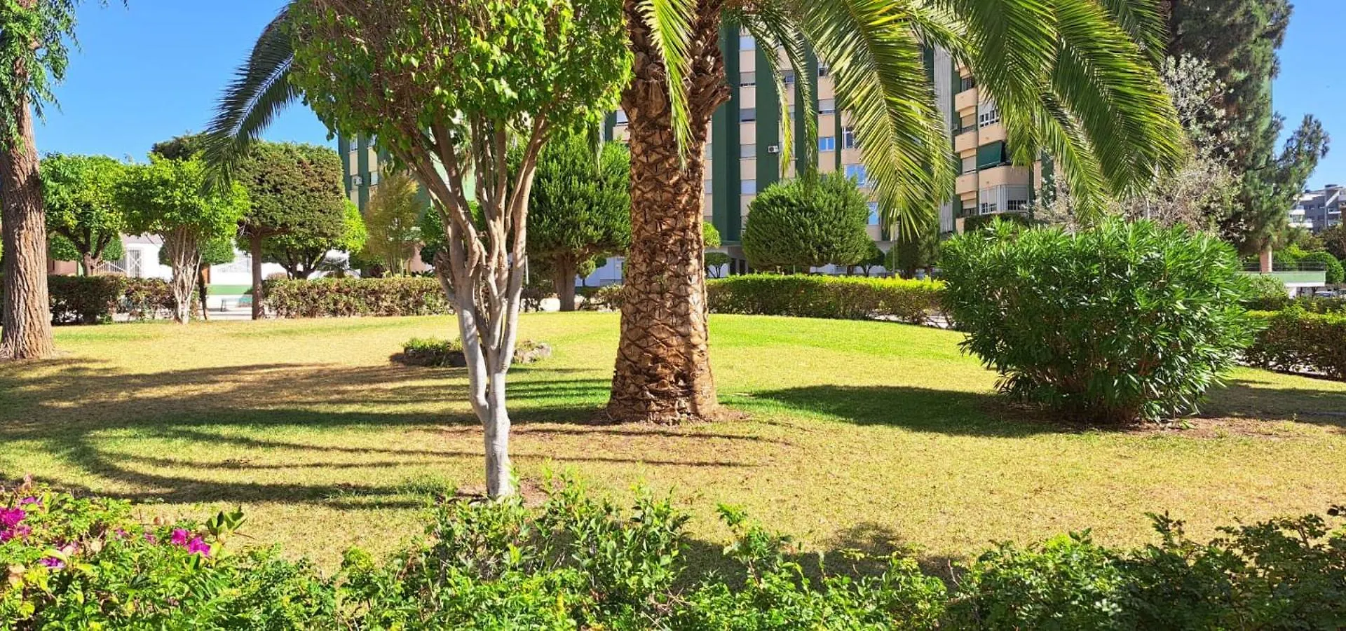 Jenofonte Zj Apartment مالقة
